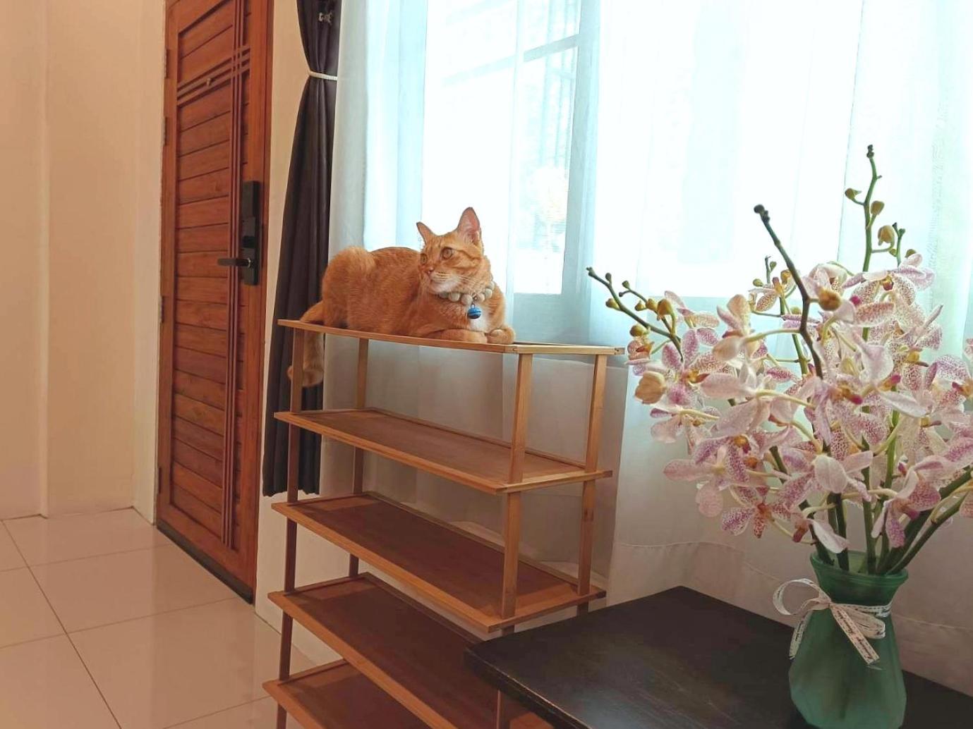 Sasima Guest house 3*