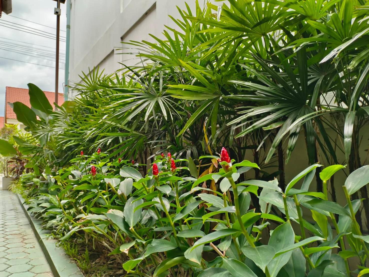 Hotel Aphilapa 3*