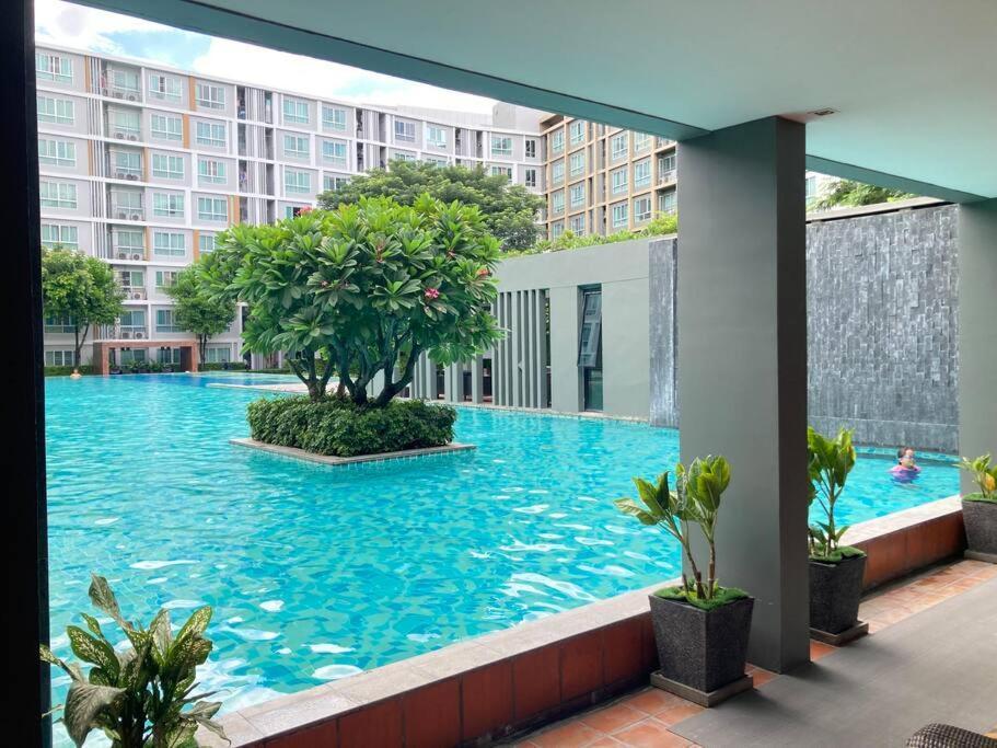 Bright & Modern
