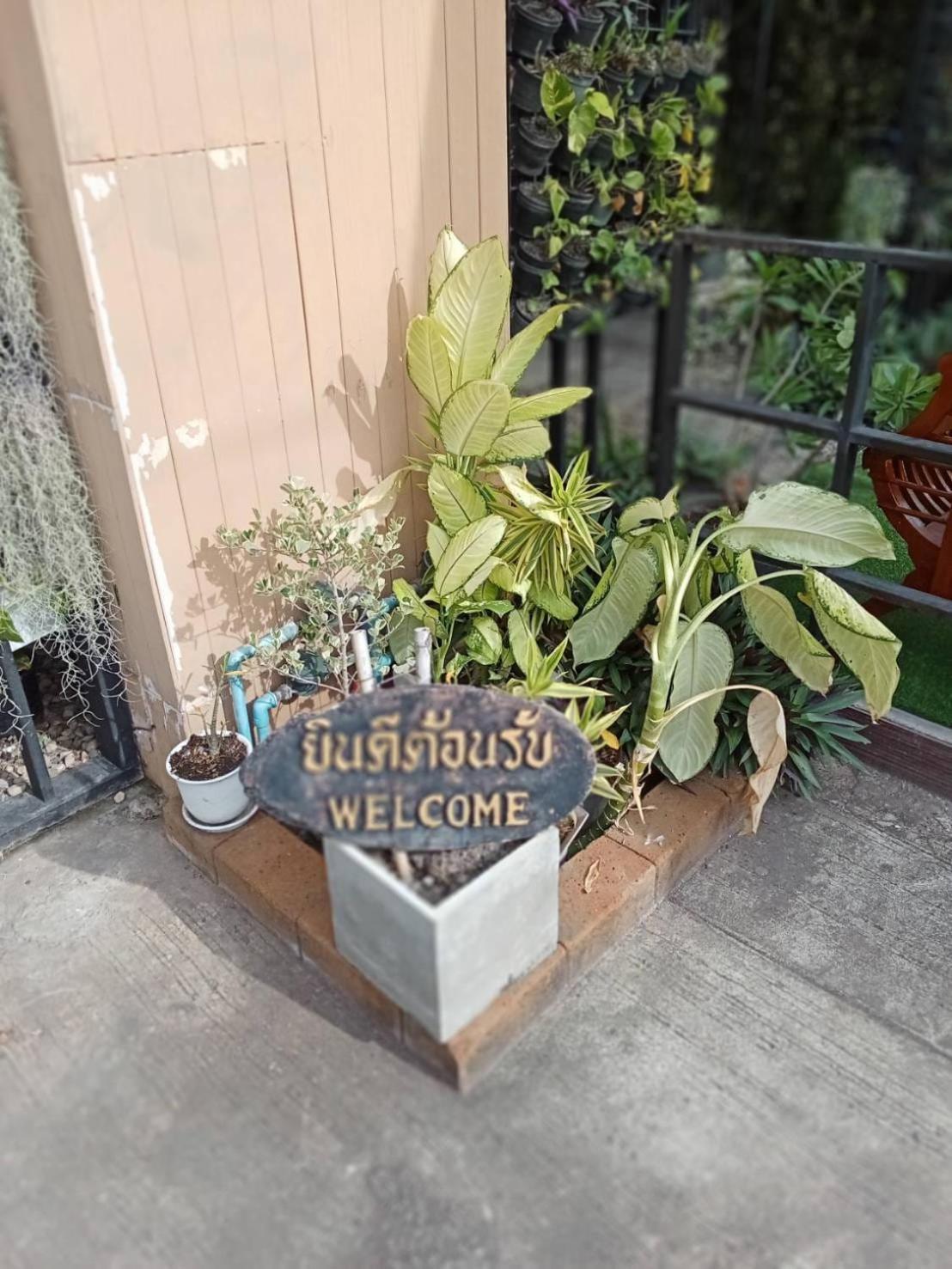 Hostel Tc House Chiang Mai