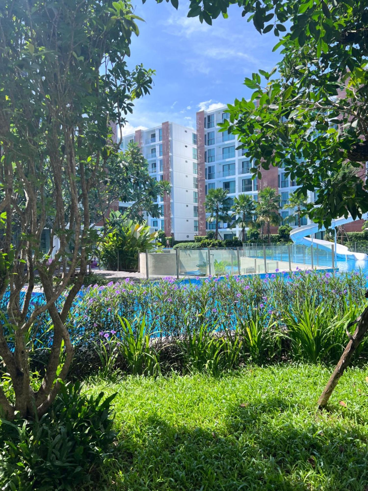 Pangsapuri 清迈1号 树景一居室套房 *