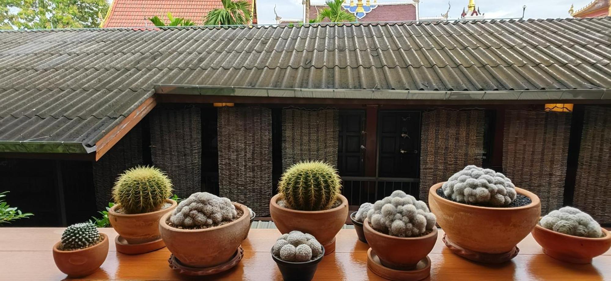Hoh Chiang Mai