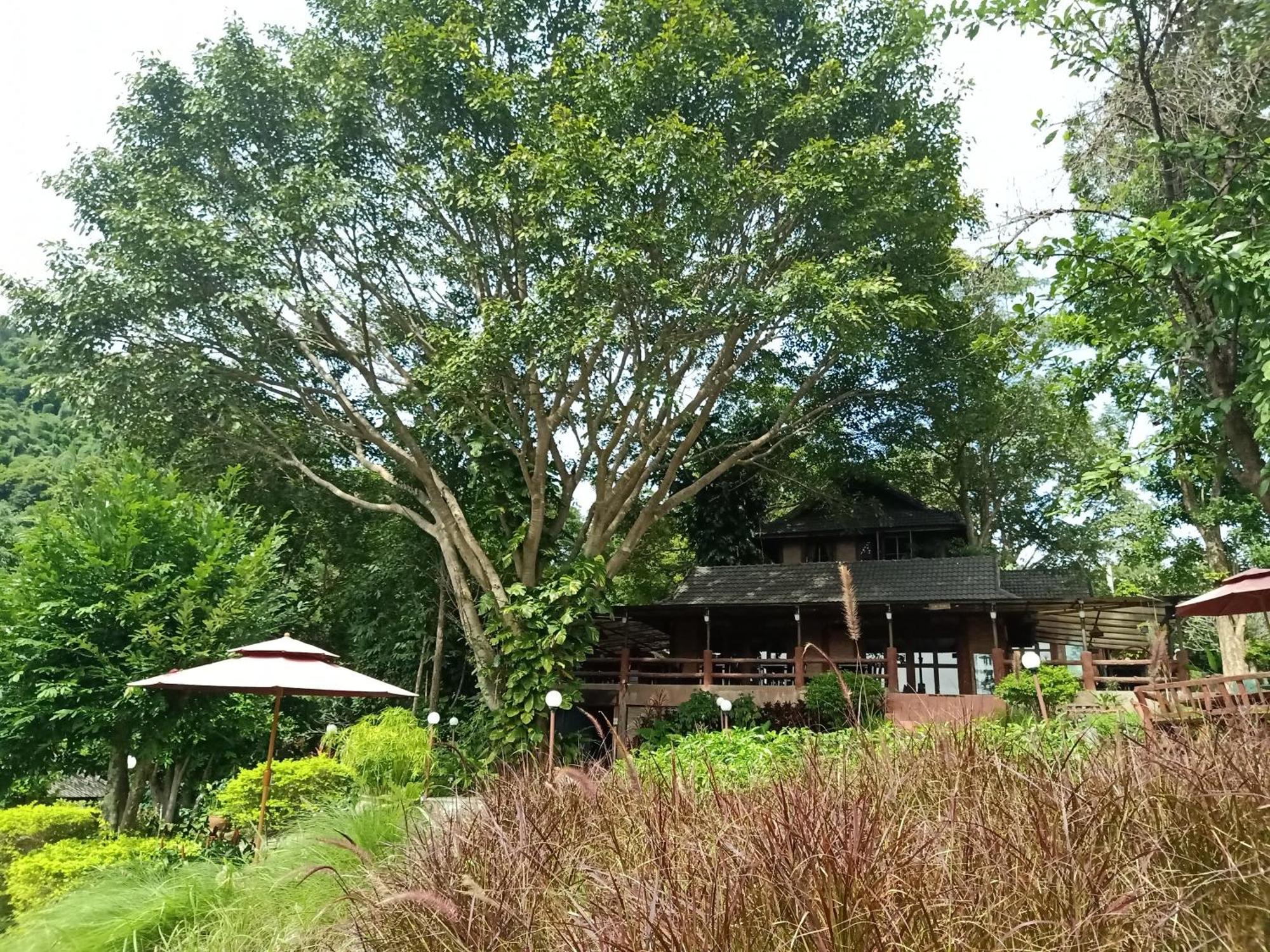 Insda Wellness Hotel