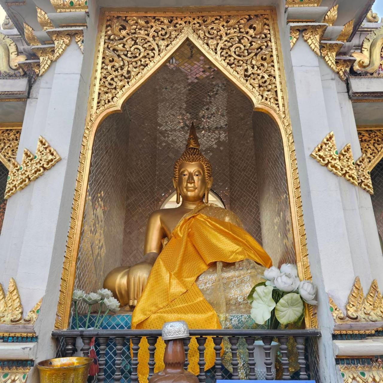 Cooper * Chiang Mai