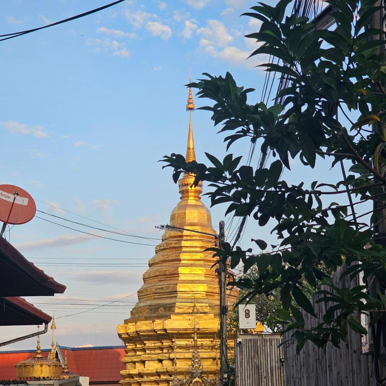 Cooper Herberg Chiang Mai