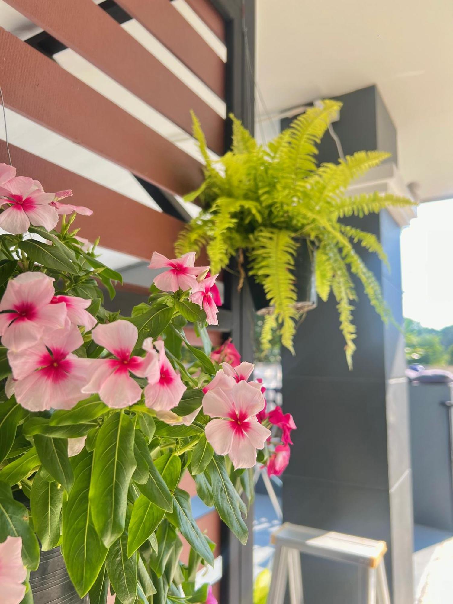 Double B House Villa Chiang Mai