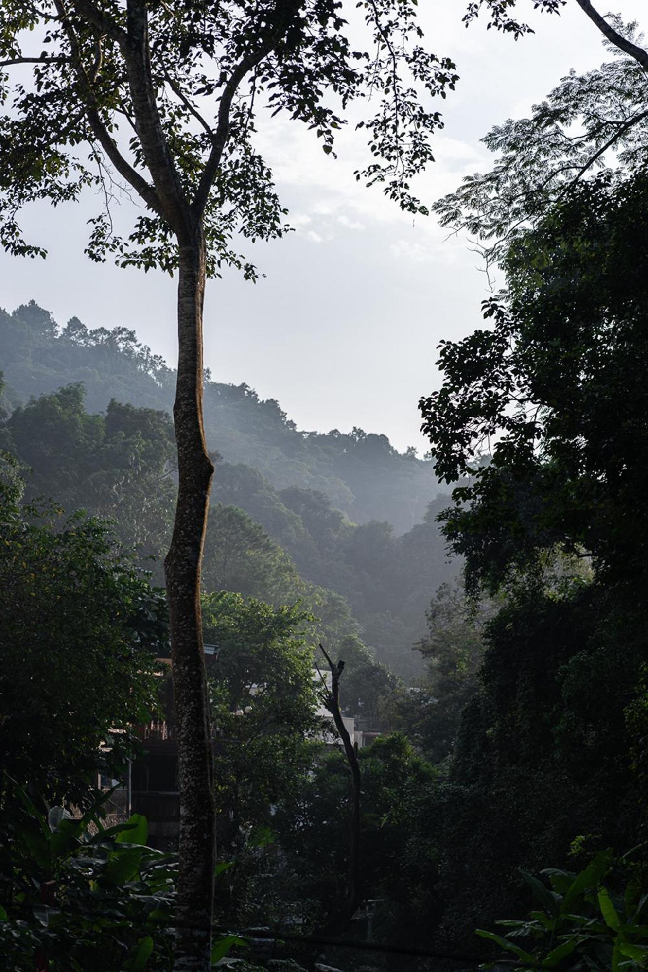 Inthada At Mae Kampong 5* Chiang Mai