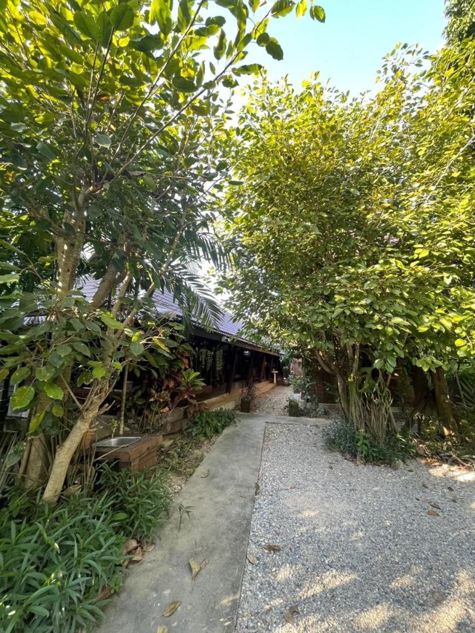 Homestay The Bodhi House *