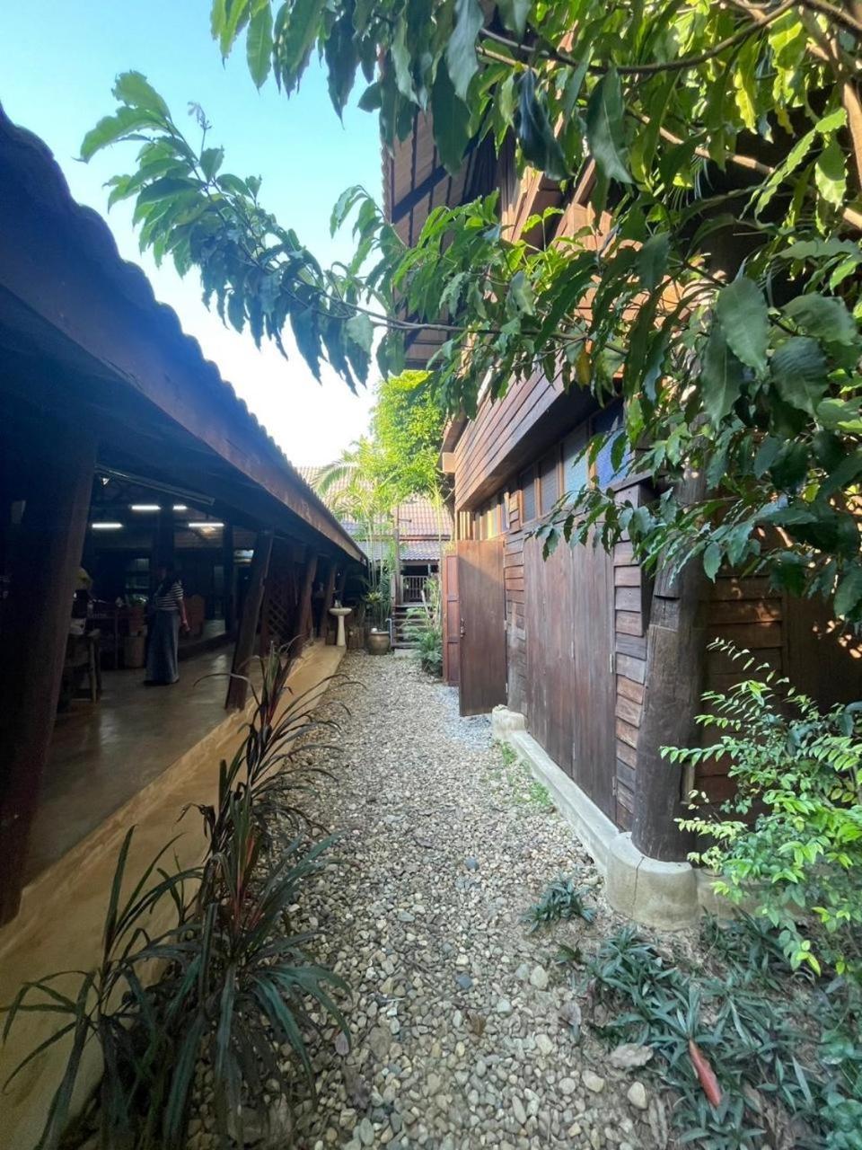 Homestay The Bodhi House Chiang Mai