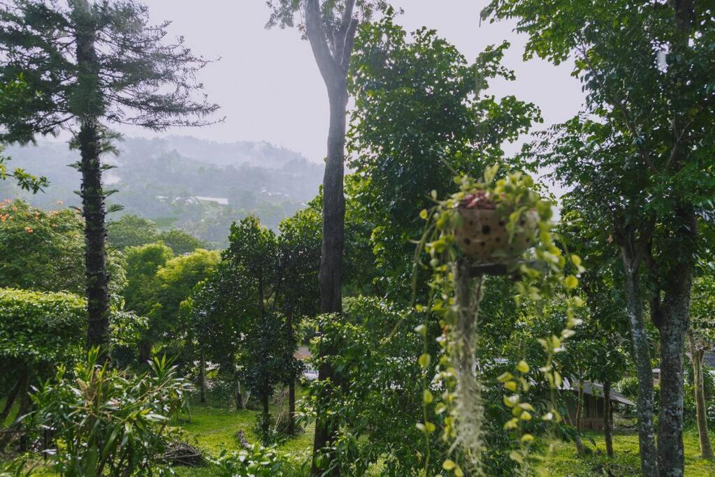 Muangkham *