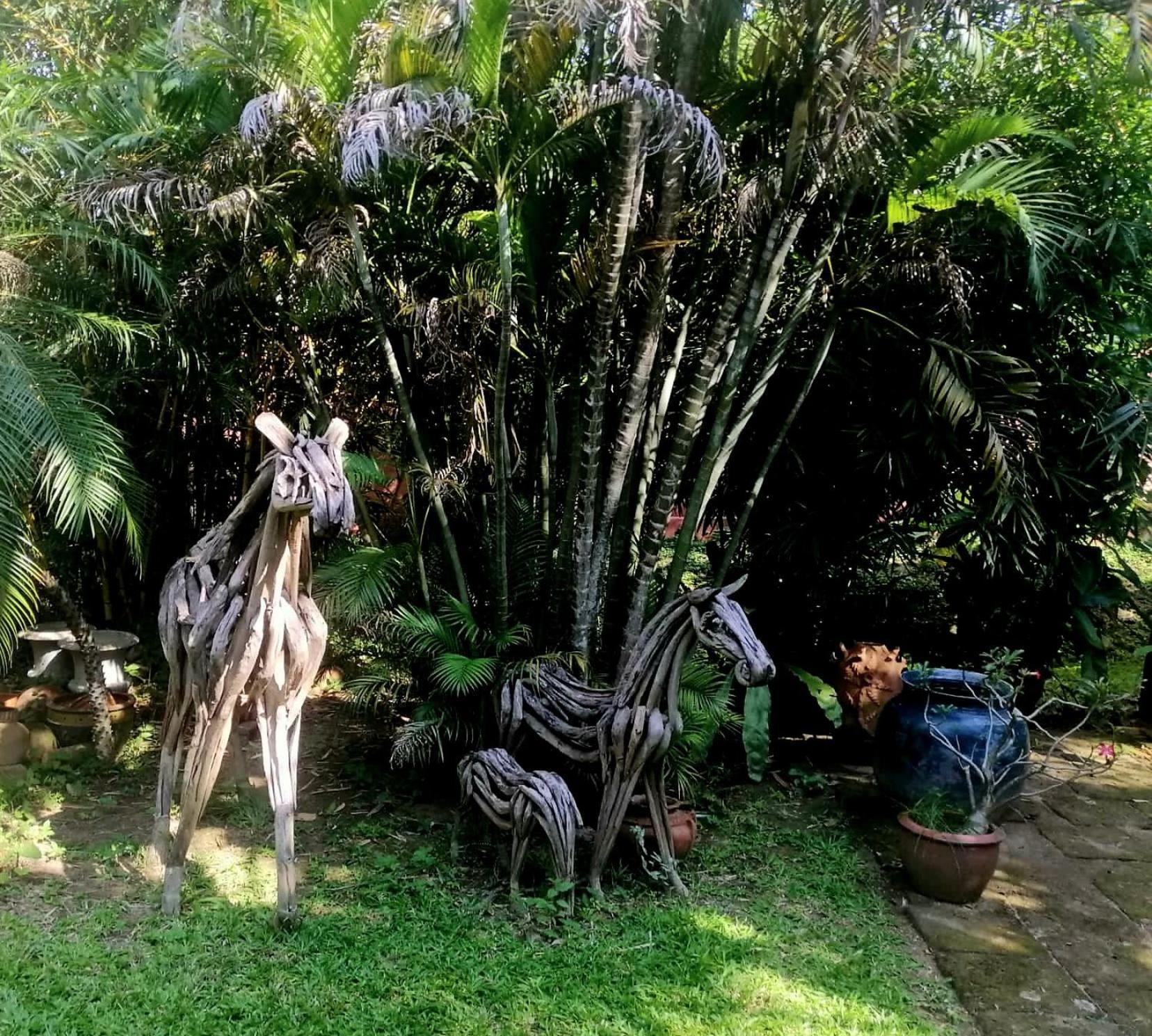 Homestay Pool Chiang Mai