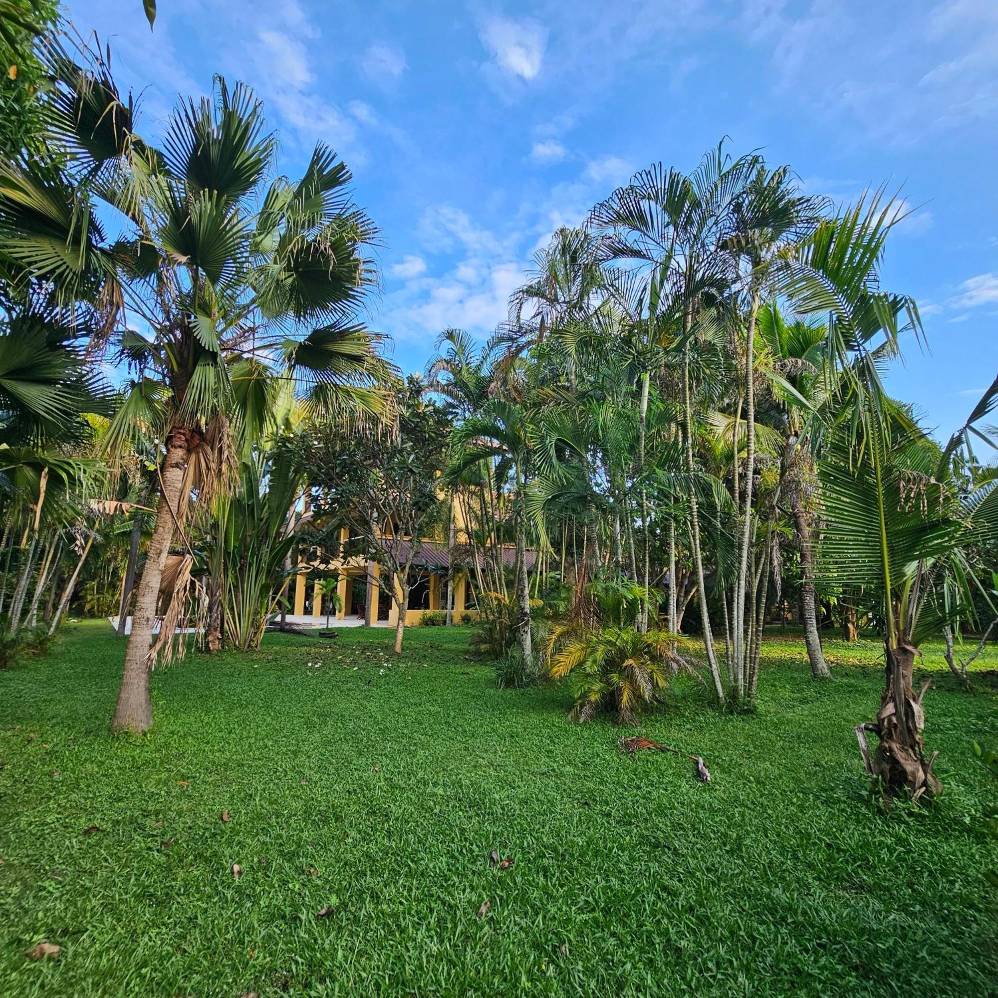 Homestay Pool