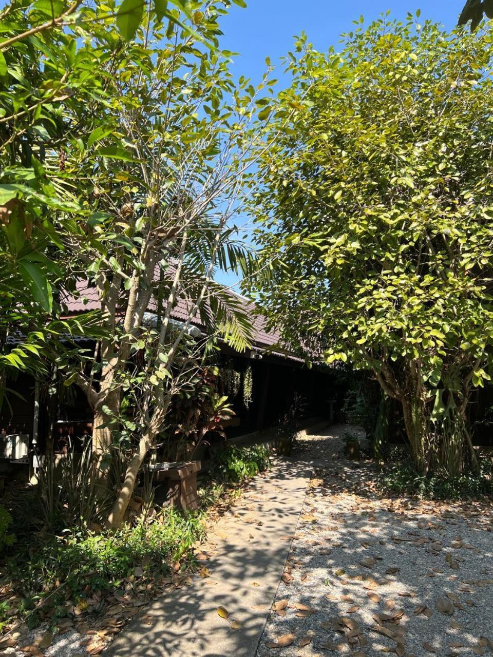 The Bodhi House Chiang Mai