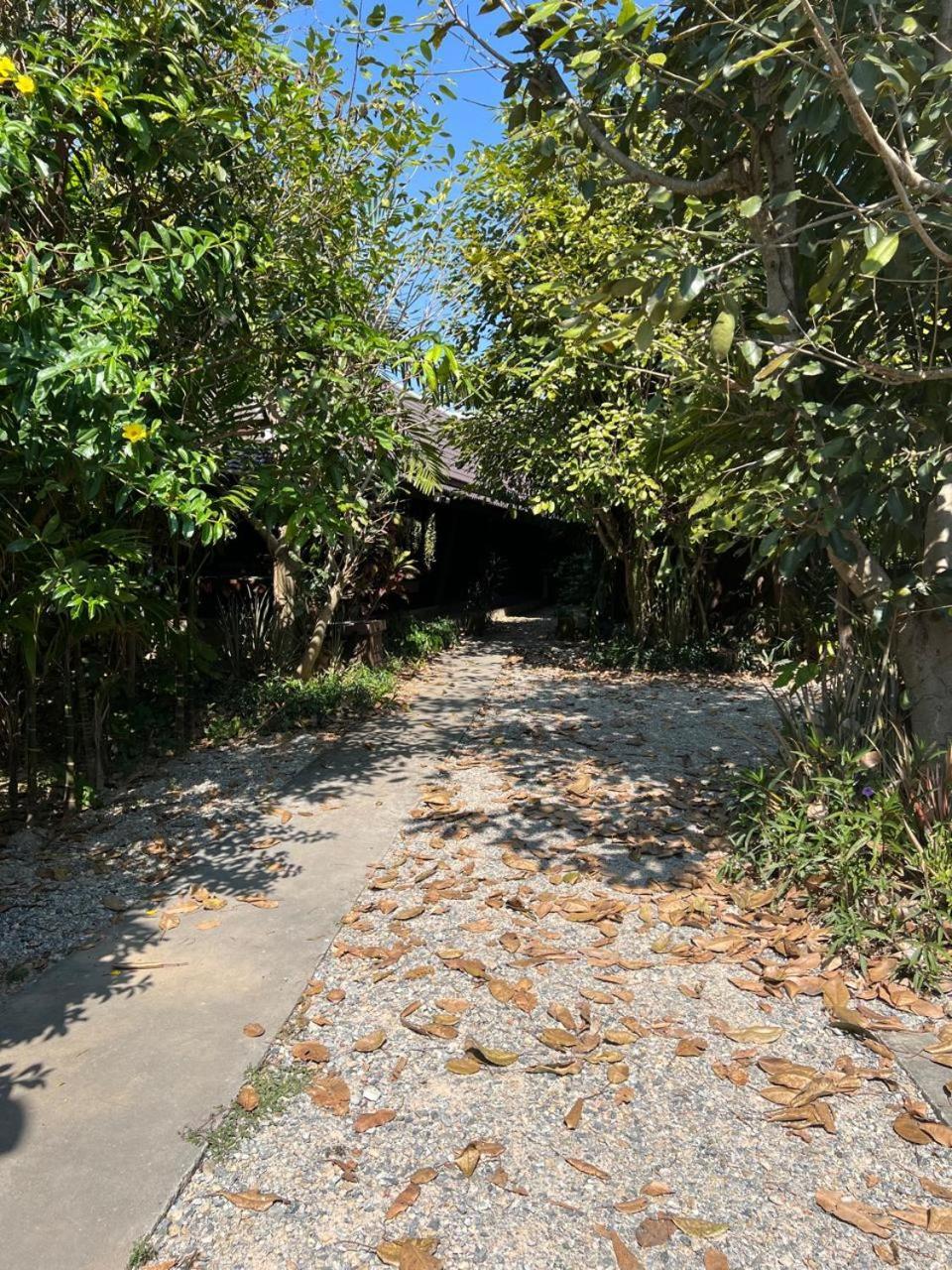 The Bodhi House