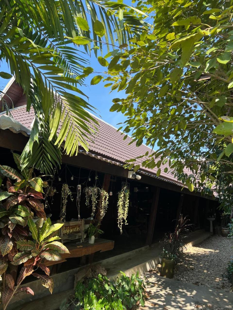 Homestay The Bodhi House *