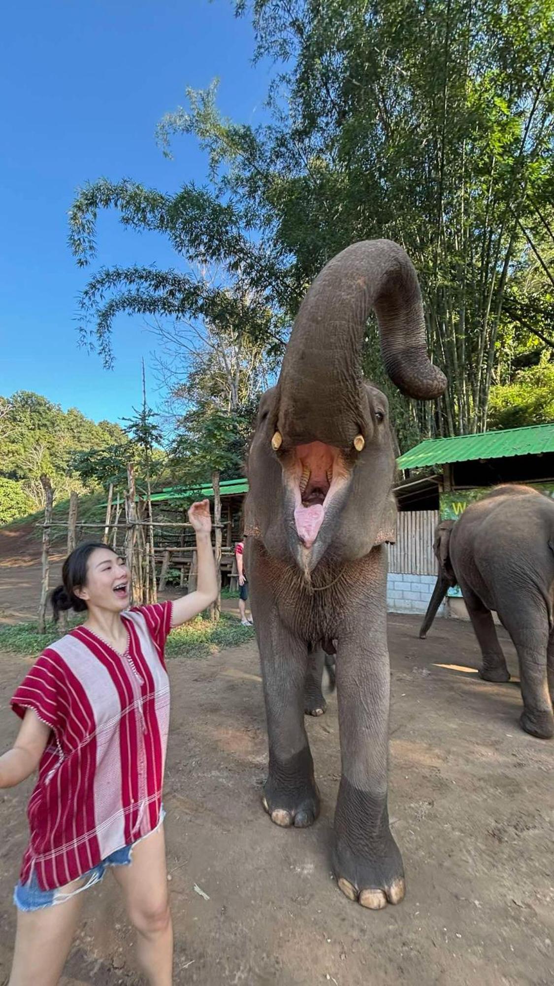 Hotel Yak Chiang Mai