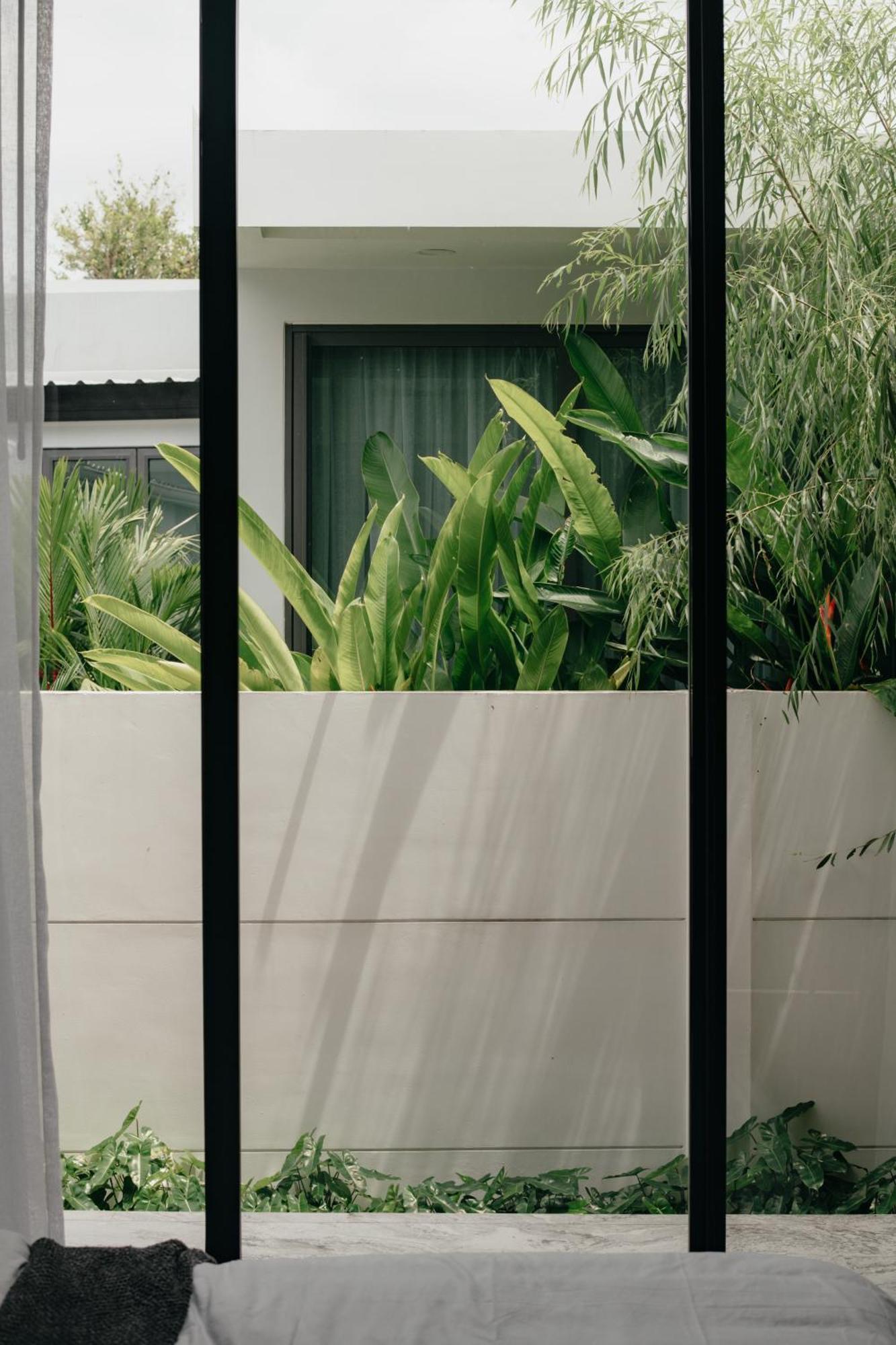 Luxury Pool Modern Style With Mountain View Chiang Mai