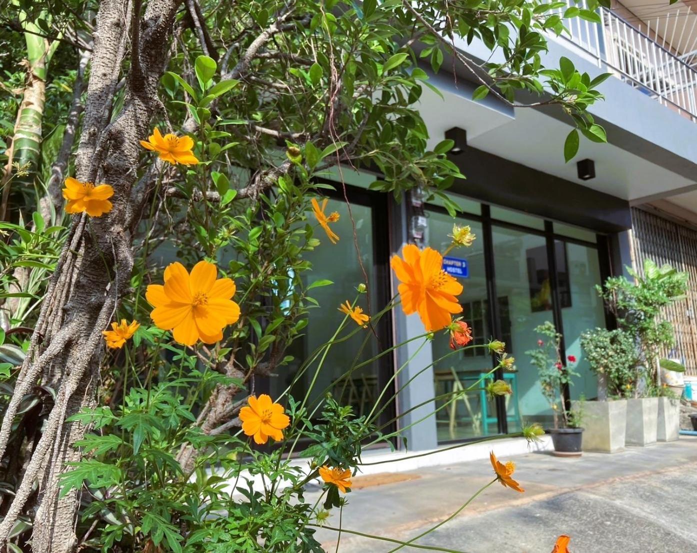 Chapter 2 Hostel