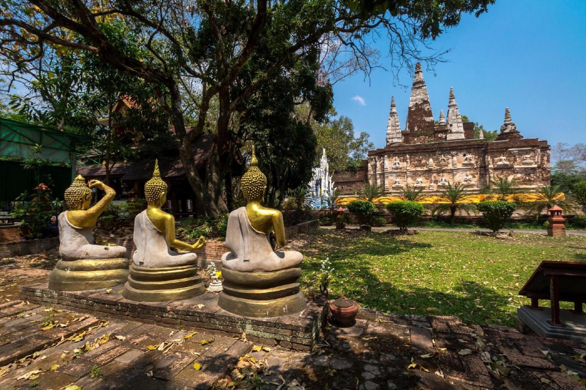 Collection O Bupamontra Chiangmai
