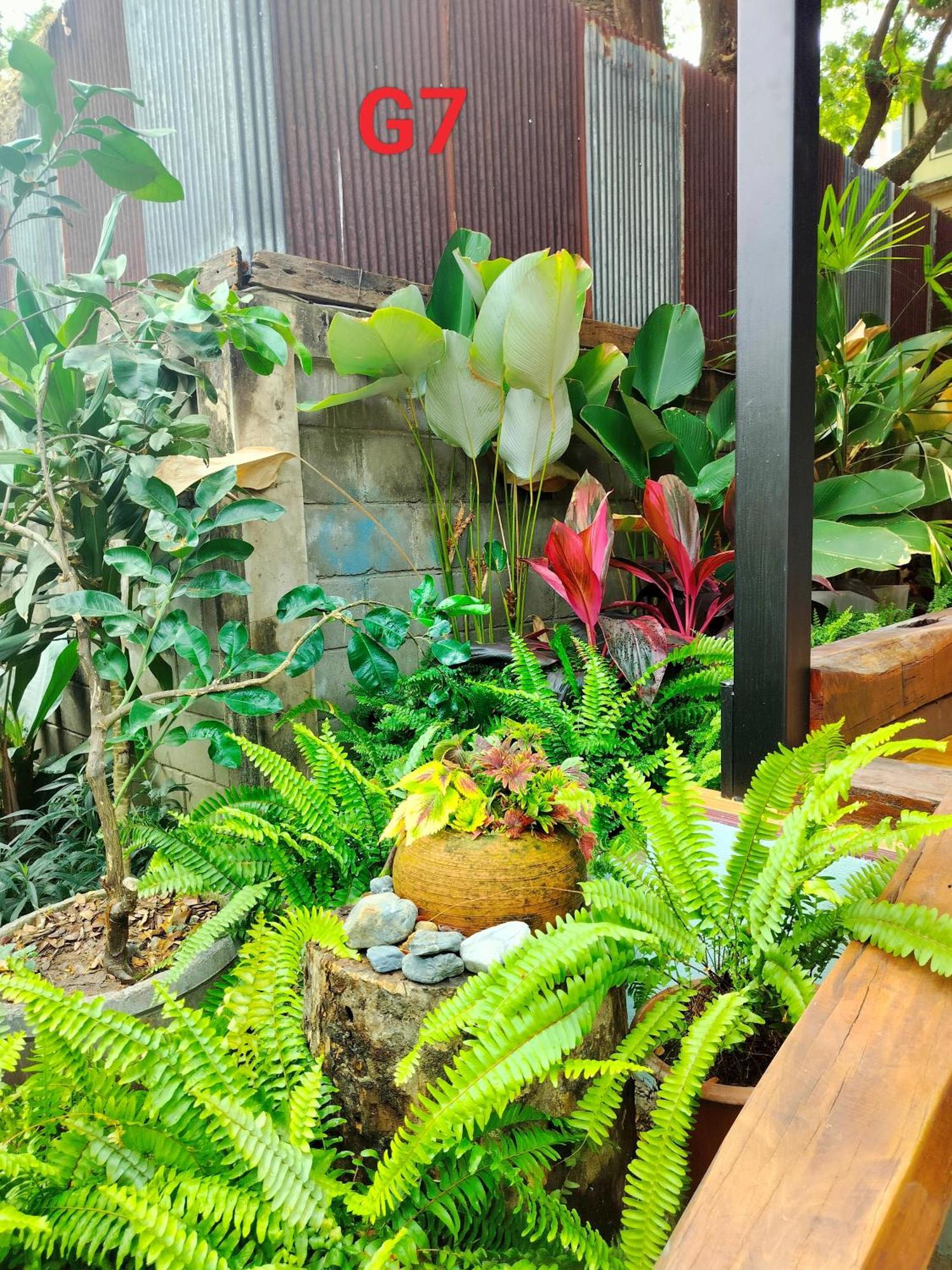 Oldy De Garden 3* Chiang Mai