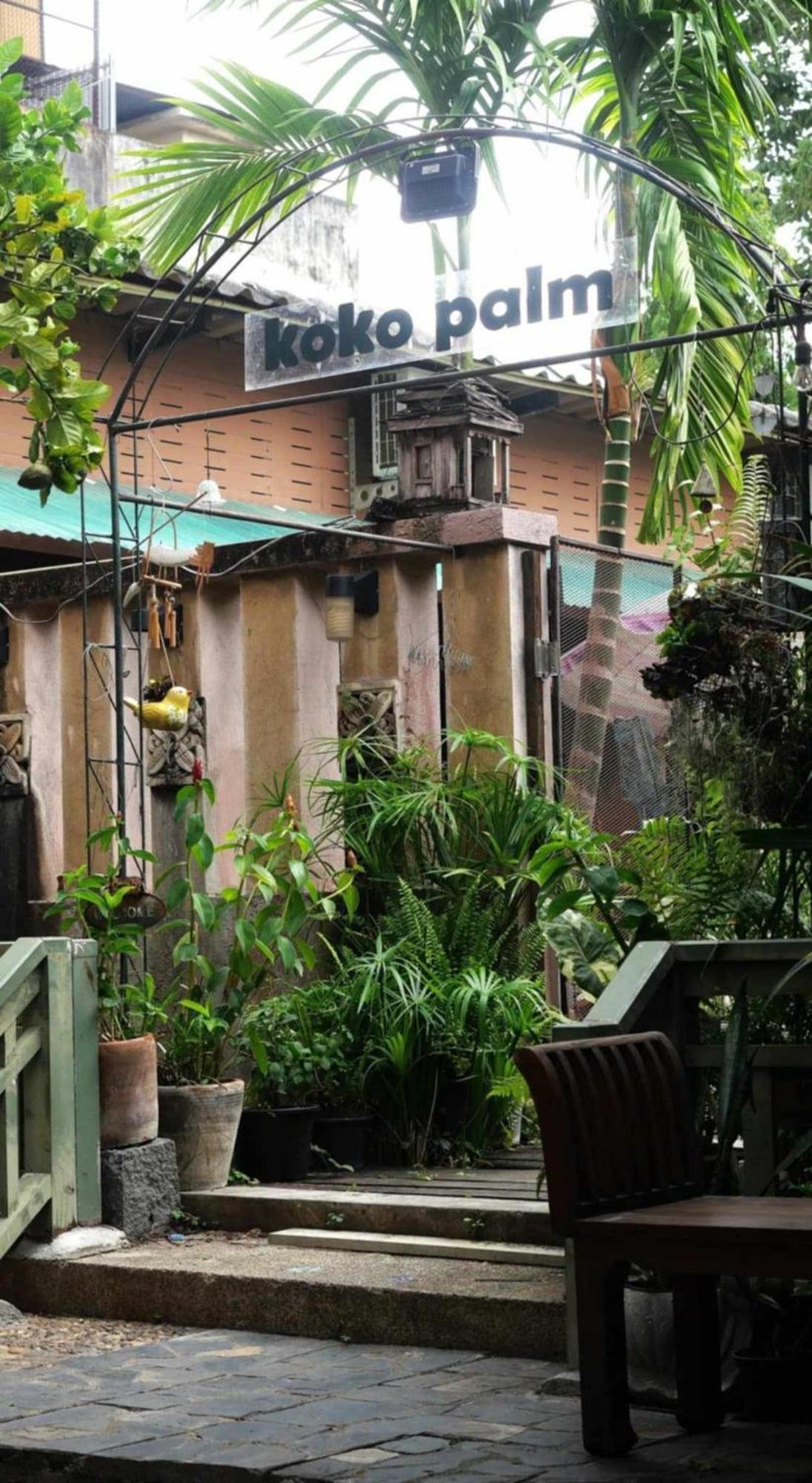 Koko Palm
