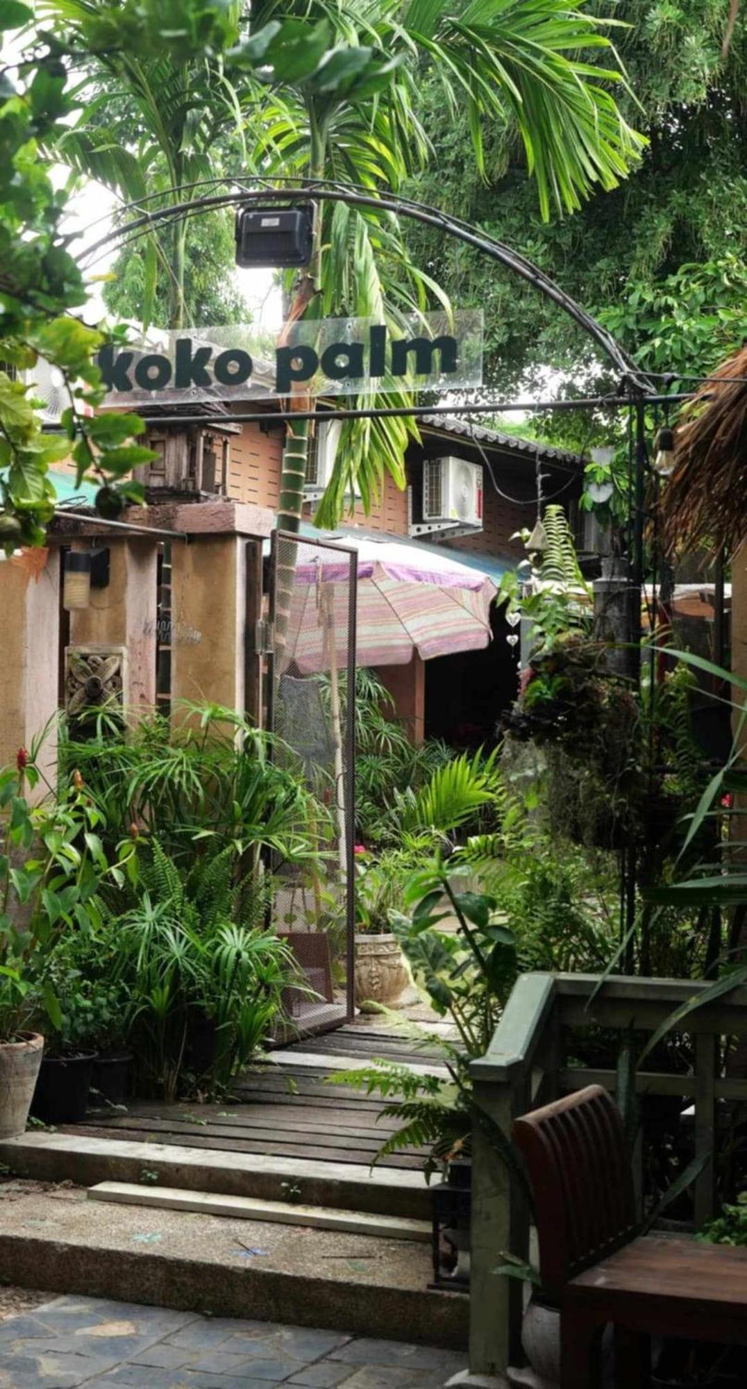 Koko Palm
