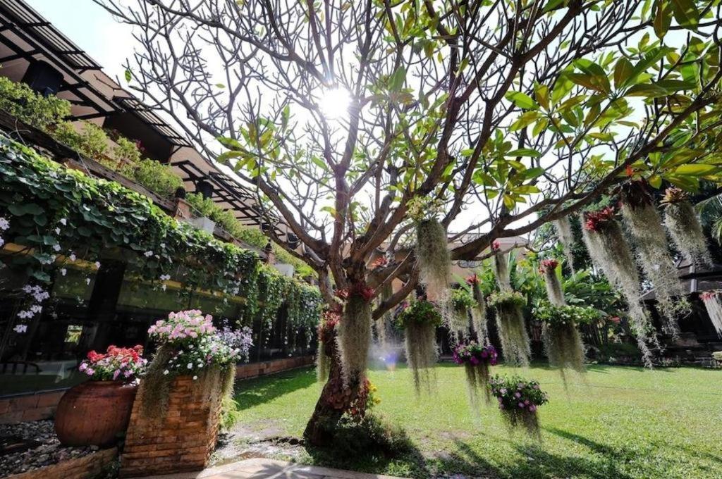 Garden Hotel 3*