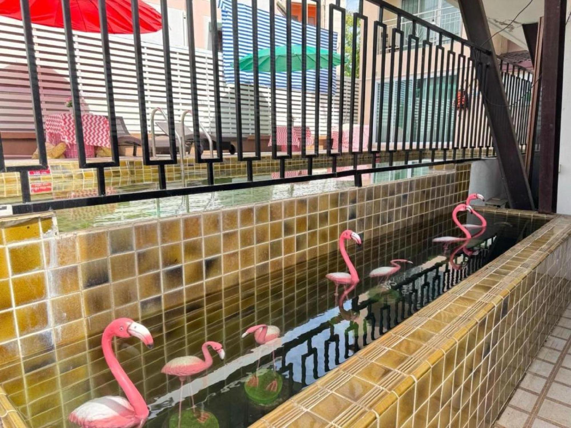 Dancenter Bupamontra Chiangmai *