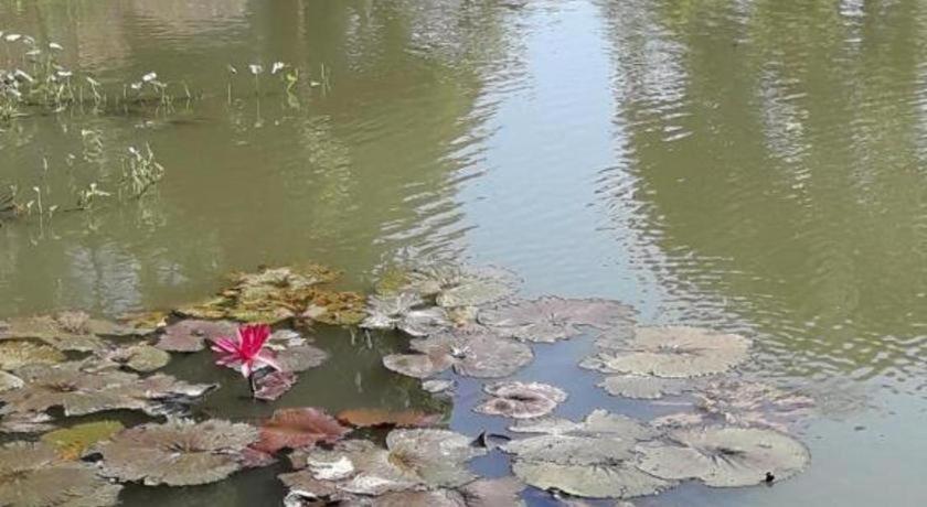 Hotel Oyo 769 Ban Thassanee Chiang Mai