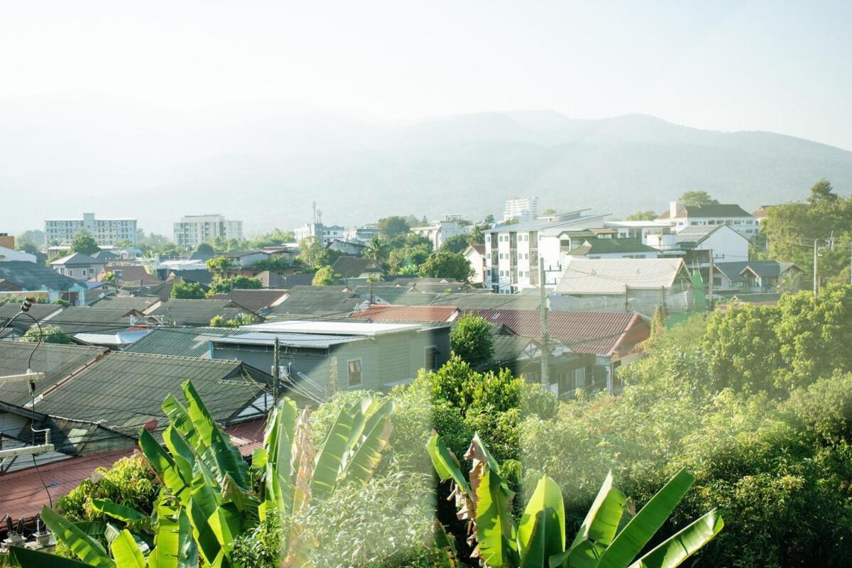 Apartment Cozy Poolside 1br In Jed Yod Near Maya Nimman