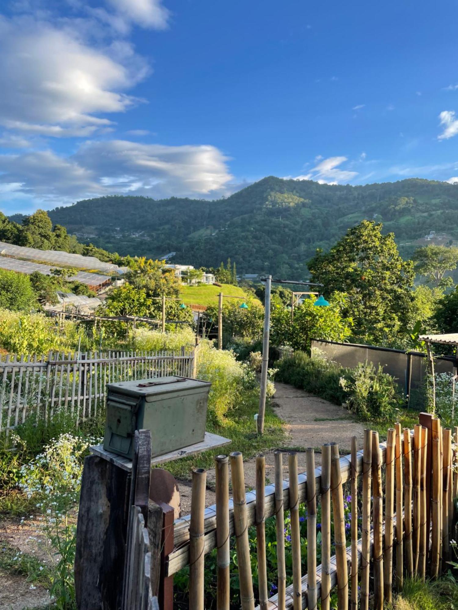 Mori Natural Farm Farm stay