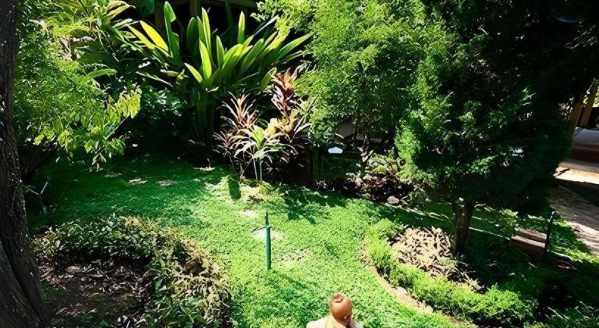 Monn Phu Phrai Chiang Mai