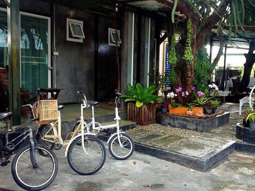 The Old Car Guest house *