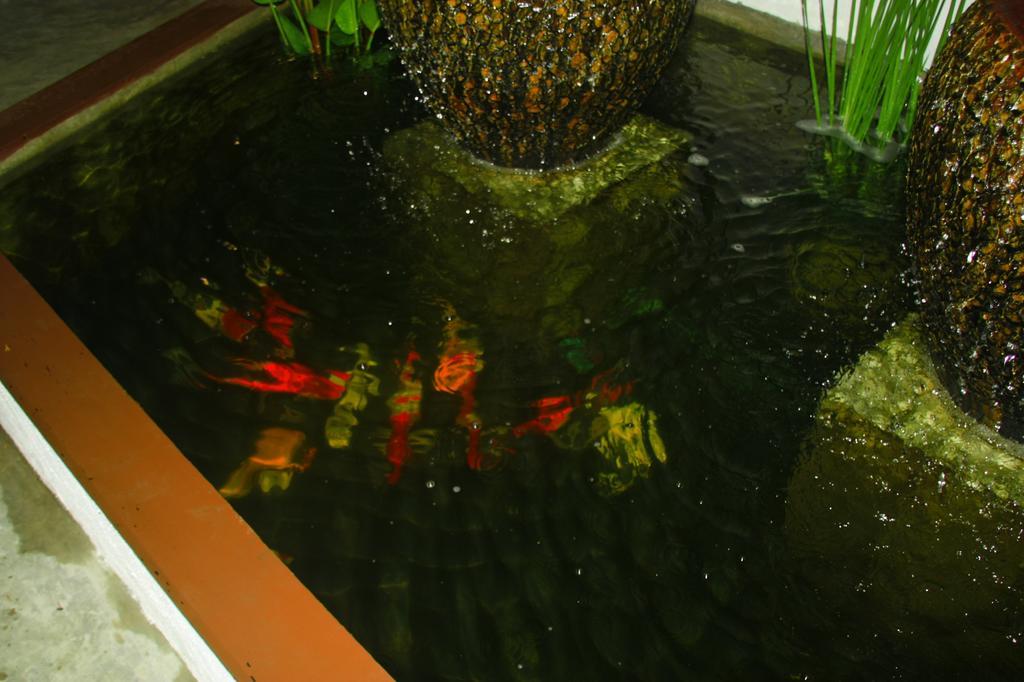 Ganesha House Hotel