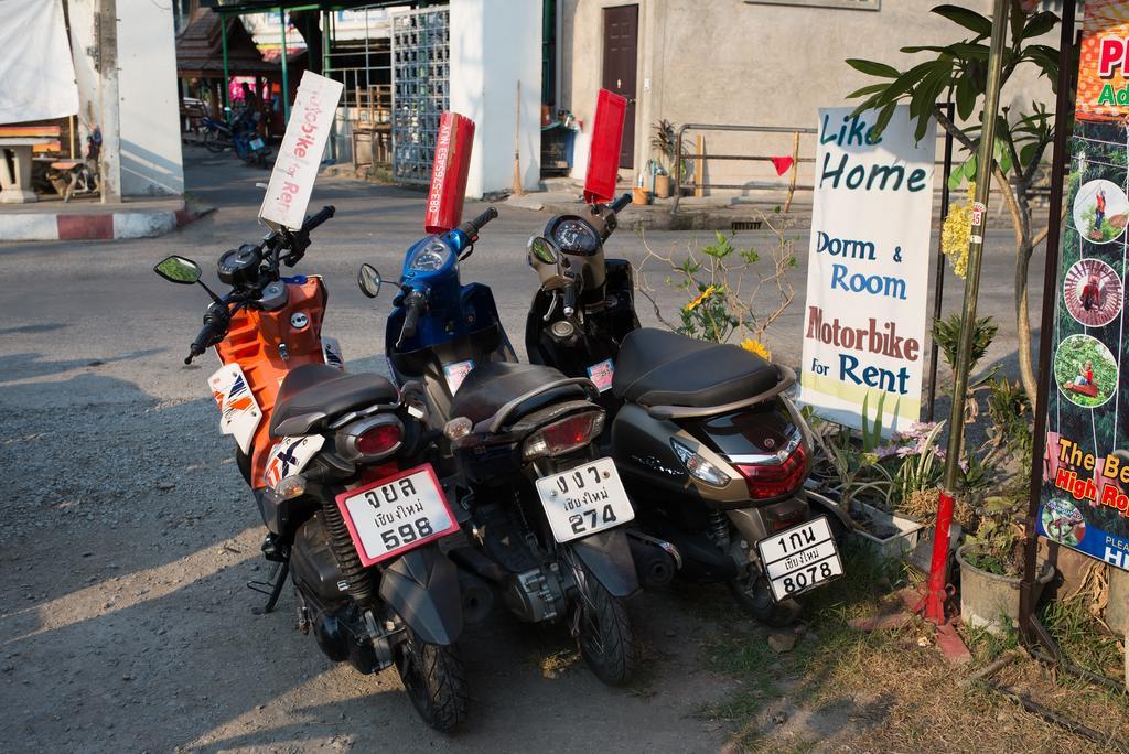 Like Hostel Chiang Mai