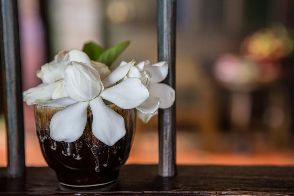 Hotel Singha Montra Lanna Boutique Style