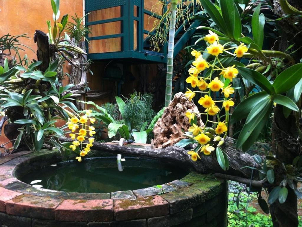 Sabaidee Chiangmai Sha Chiang Mai