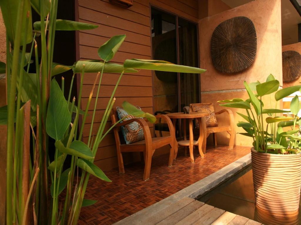 Koko Palm Chiang Mai