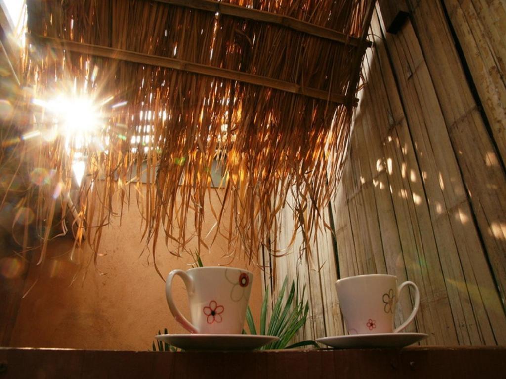 Casa de hóspedes Koko Palm 2*