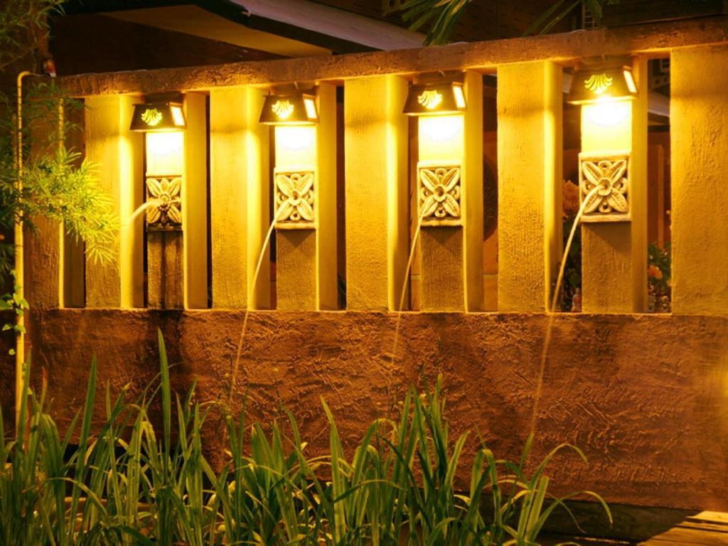 Koko Palm 2*