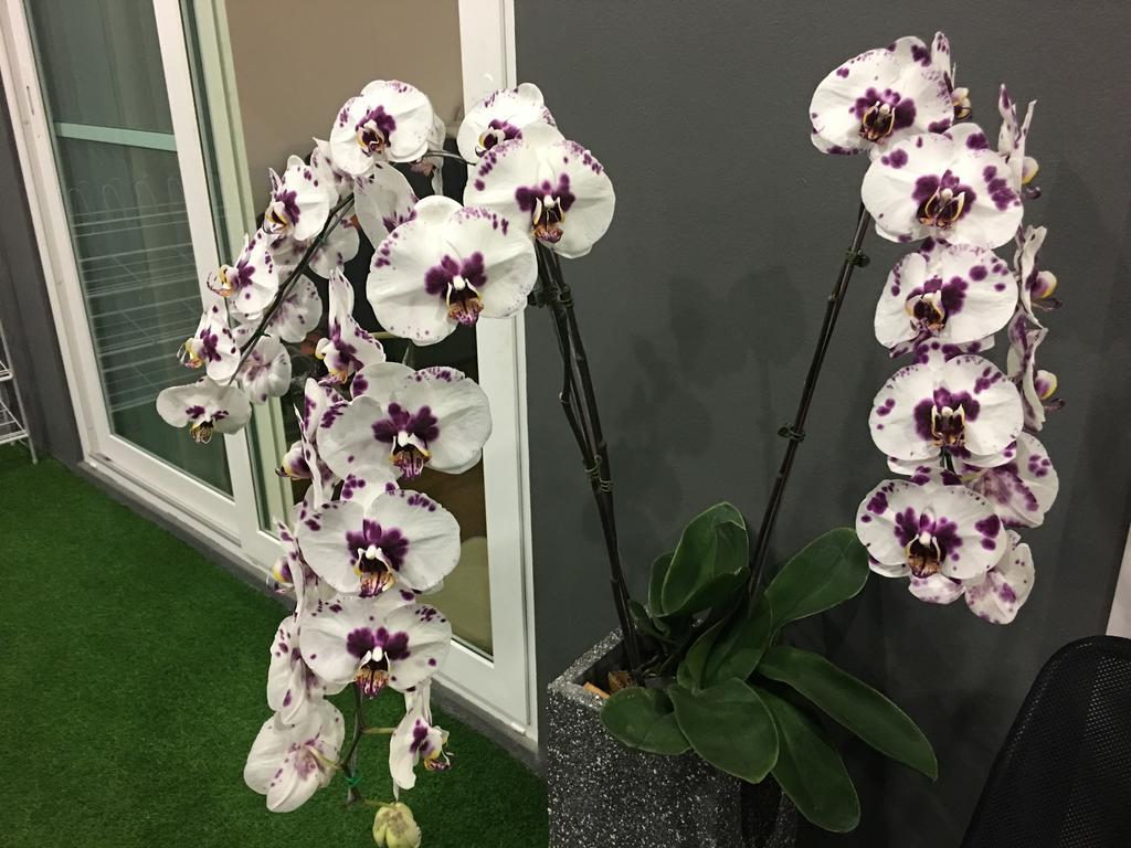 Sirinan Nimman Chiangmai *
