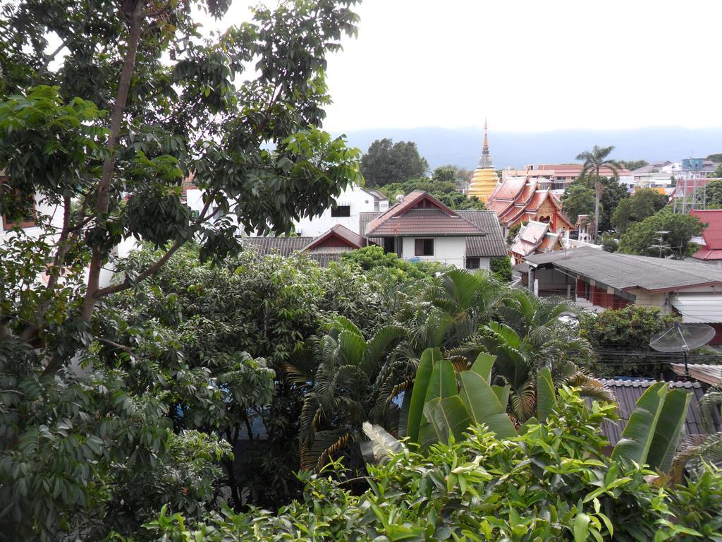 The Cm White House Gasthof *