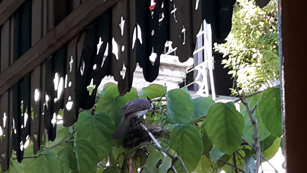 Baan Chiang Mai