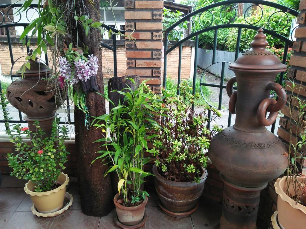 Hotel Oranje Chiang Mai