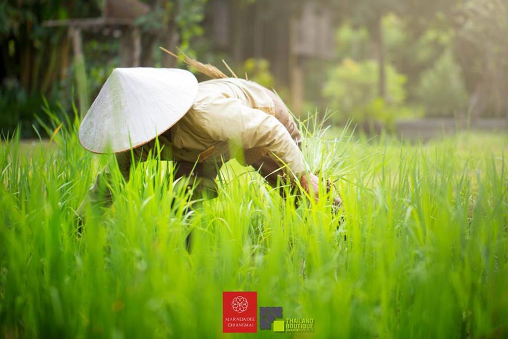 The Marndadee Heritage Resort Chiang Mai