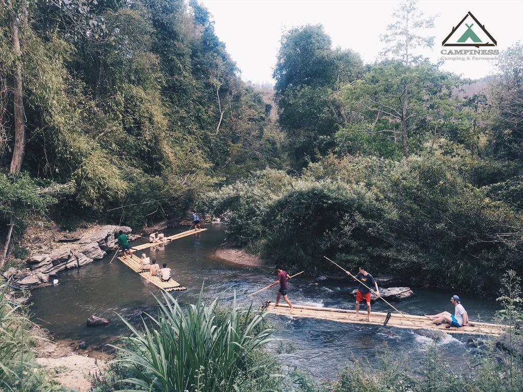 Campiness And Farmsook Chiang Mai