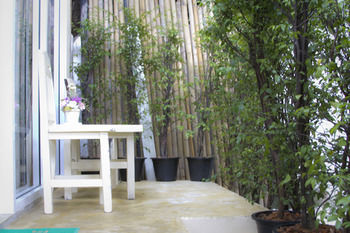 The Nimman 13 Chiang Mai