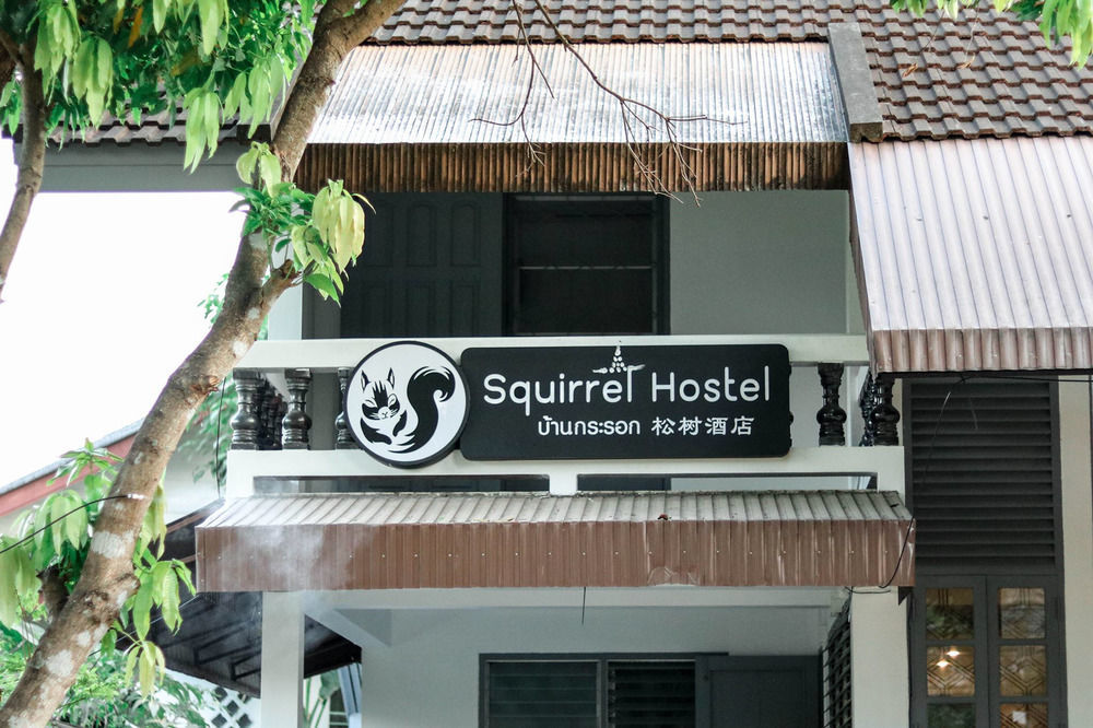 Squirrel