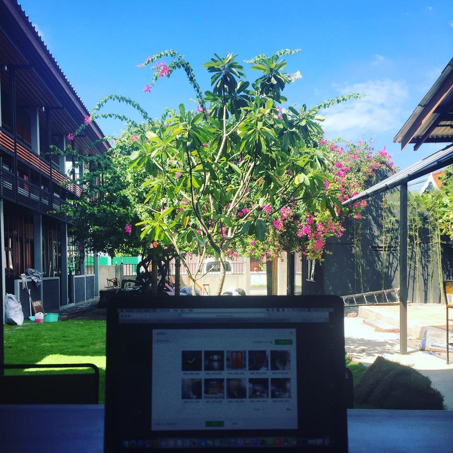 Chiangmai Moli (adults Only) Hostel