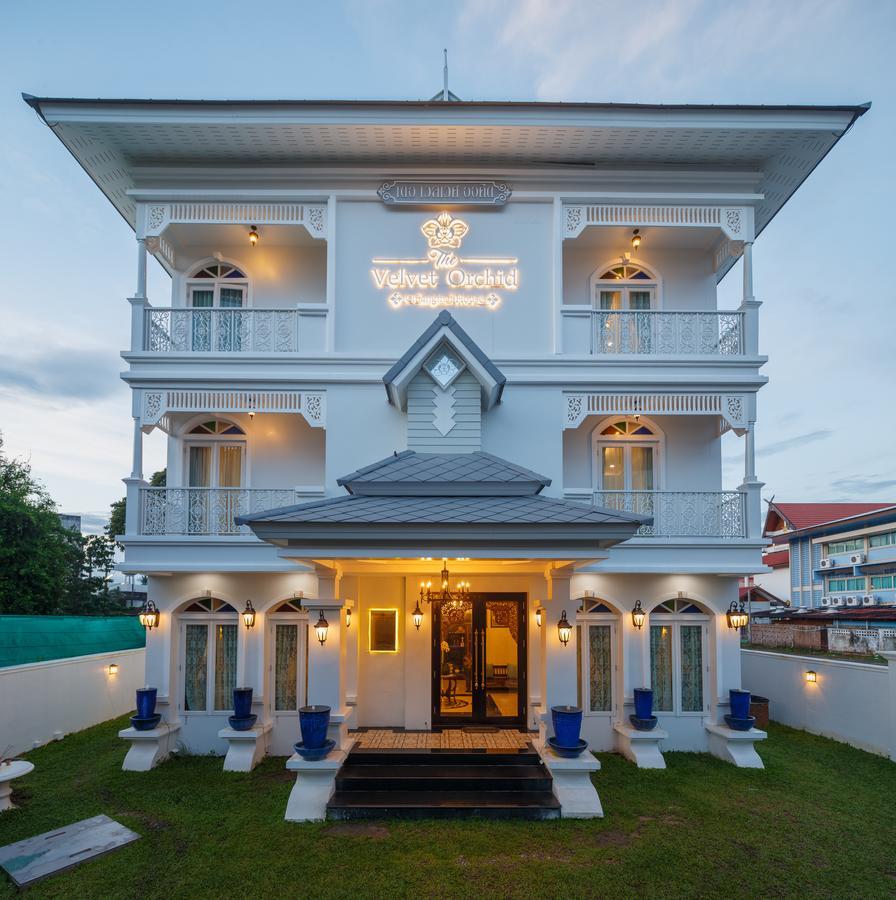 The Velvet Orchid Hotel